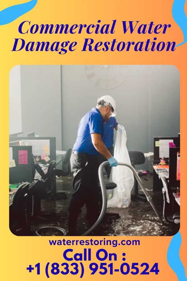 Commercial Water Damage Restoration in Pinesdale, MT